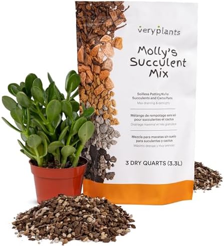 Molly's Succulent Mix - Premium Gritty Soilless Potting Mix for Succulents, Cactus and Bonsai - Contains Akadama, Hyuga, Bark Fines, Pumice, Lava Rock, Mycorrhizae 3 Dry Quarts