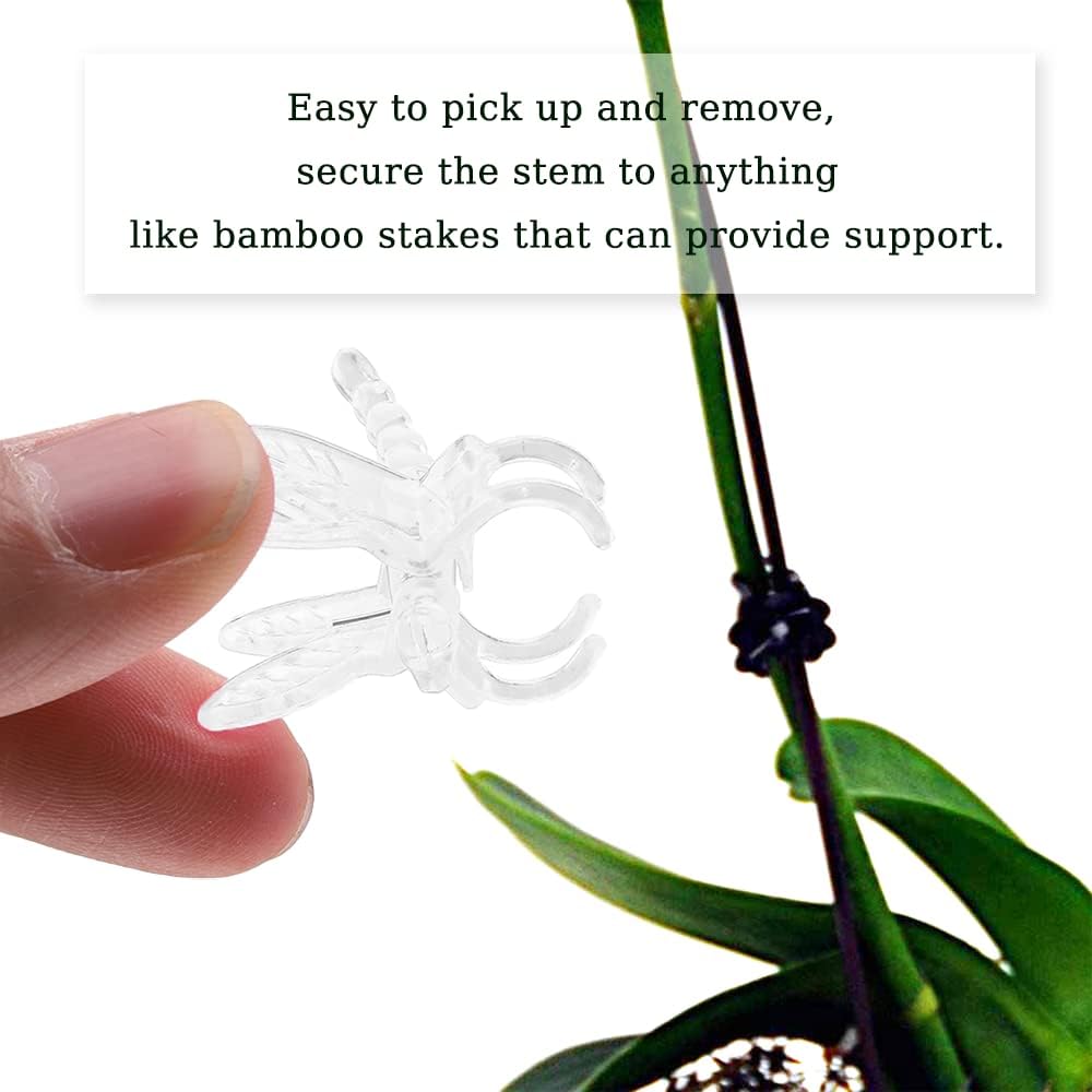 Watris Veiyi 100Pcs Plant Orchid Clips, Garden Plant Support Clip, Dragonfly Orchid Clips, Portable Cute Flower Vine Clips(Transparent)