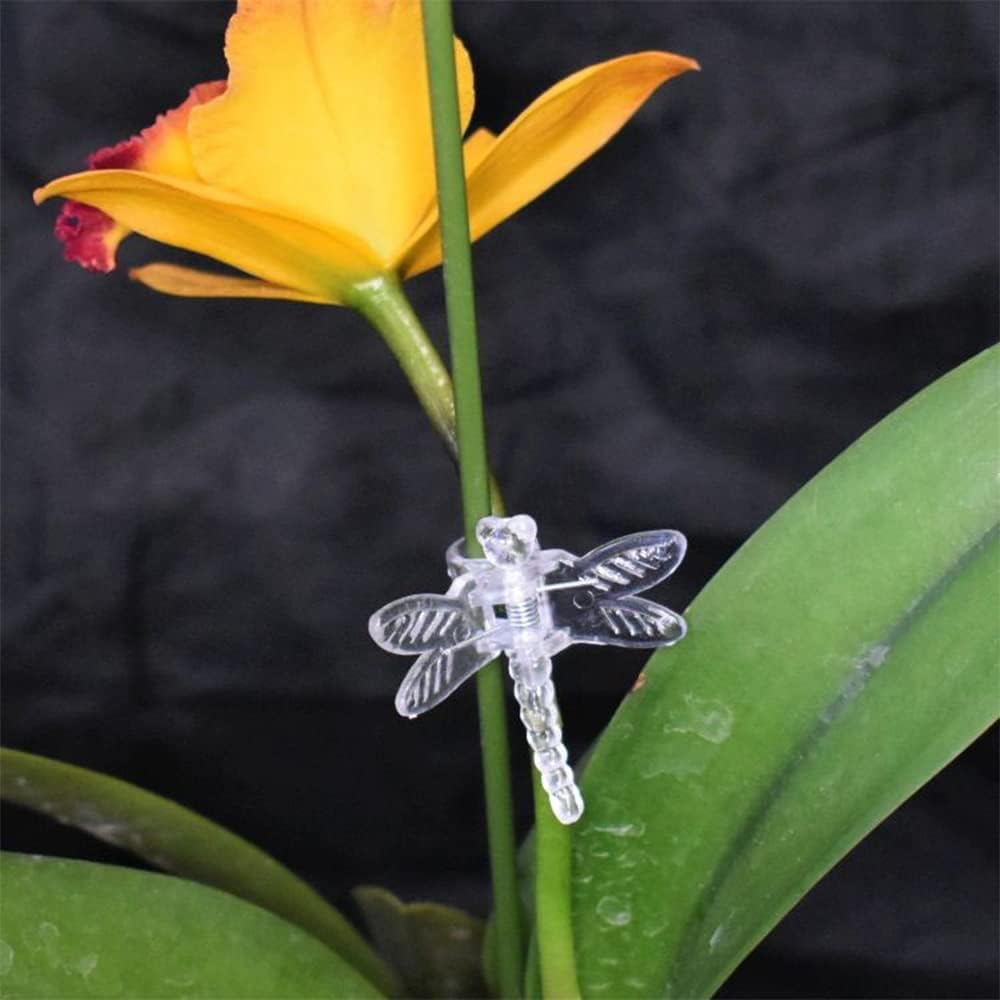Watris Veiyi 100Pcs Plant Orchid Clips, Garden Plant Support Clip, Dragonfly Orchid Clips, Portable Cute Flower Vine Clips(Transparent)