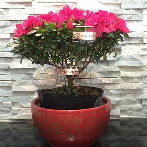 Pack of 30 Copper Plant Labels for Garden, Metal Plant Markers Nameplate, Plant Tags for Outdoor and Potted Plants (10" x 2.6")