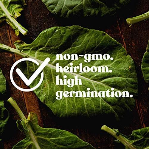 Clover Trio Seed Blend – Premium 4 oz ~44,800 Seeds – Red, White & Crimson Clover – Cover Crop & Soil Enrichment Mix