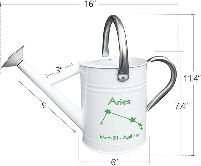 Metal Watering Can for Outdoor and Indoor Plants, Watering Can Decor, 1 Gallon (Aries)