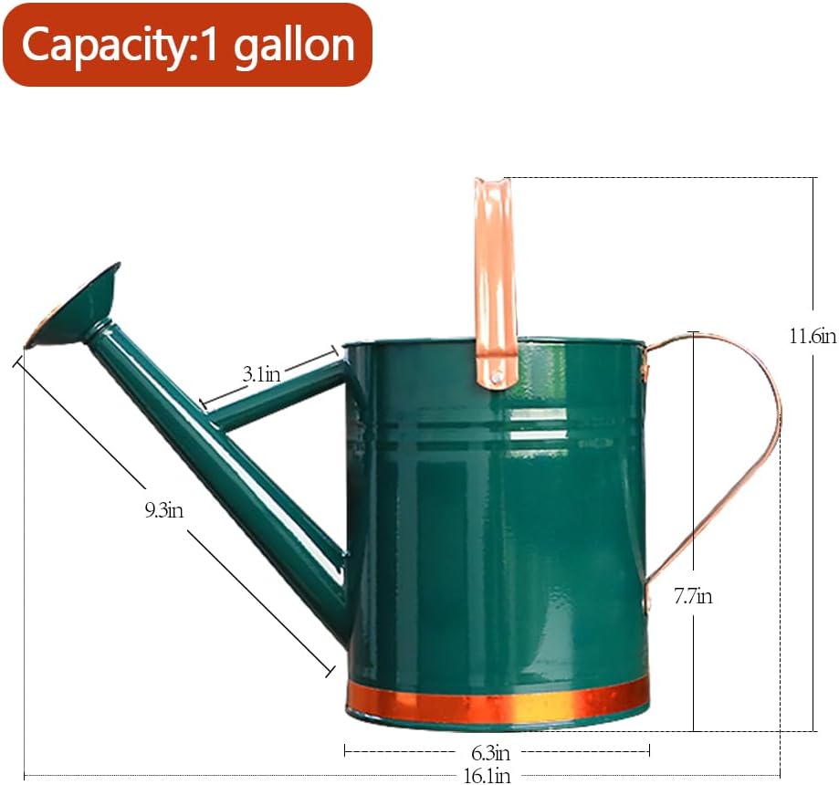Metal Watering Can, One Gallon Watering Cans Stainless Steel for Outdoor Indoor Garden Plants Watering (One Gallon Green Decorative Strip)
