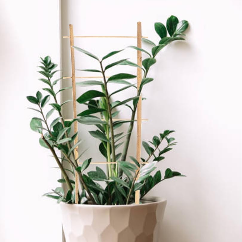 Natural Bamboo Trellis 16inch for Climbing Plants 6 Pack - Plant Ladder Trellis with Garden Ties, Outdoor Decorative Plant Support Stakes for Vines Flowers Vegetables (Ladder-Shape)