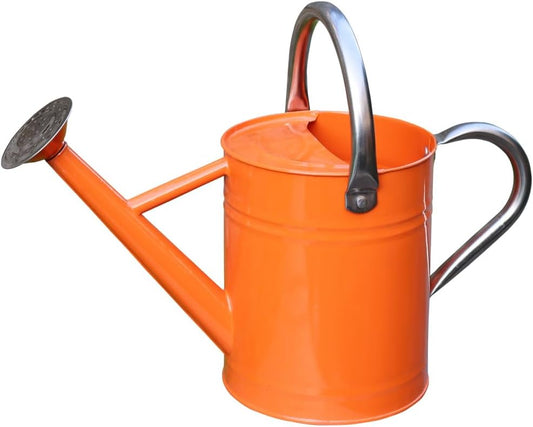 Metal Watering Can, One Gallon Watering Cans Stainless Steel for Outdoor Indoor Garden Plants Watering (Stainless Steel Handle Orange)