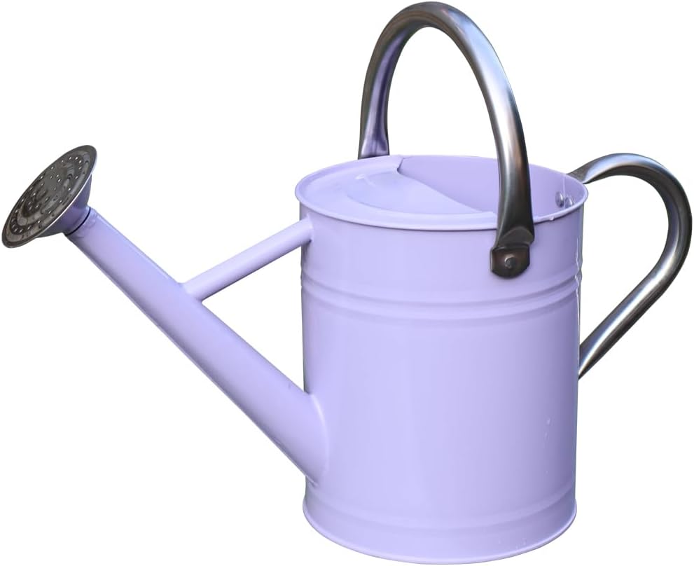 Metal Watering Can, One Gallon Watering Cans Stainless Steel for Outdoor Indoor Garden Plants Watering (Stainless Steel Handle Purple)