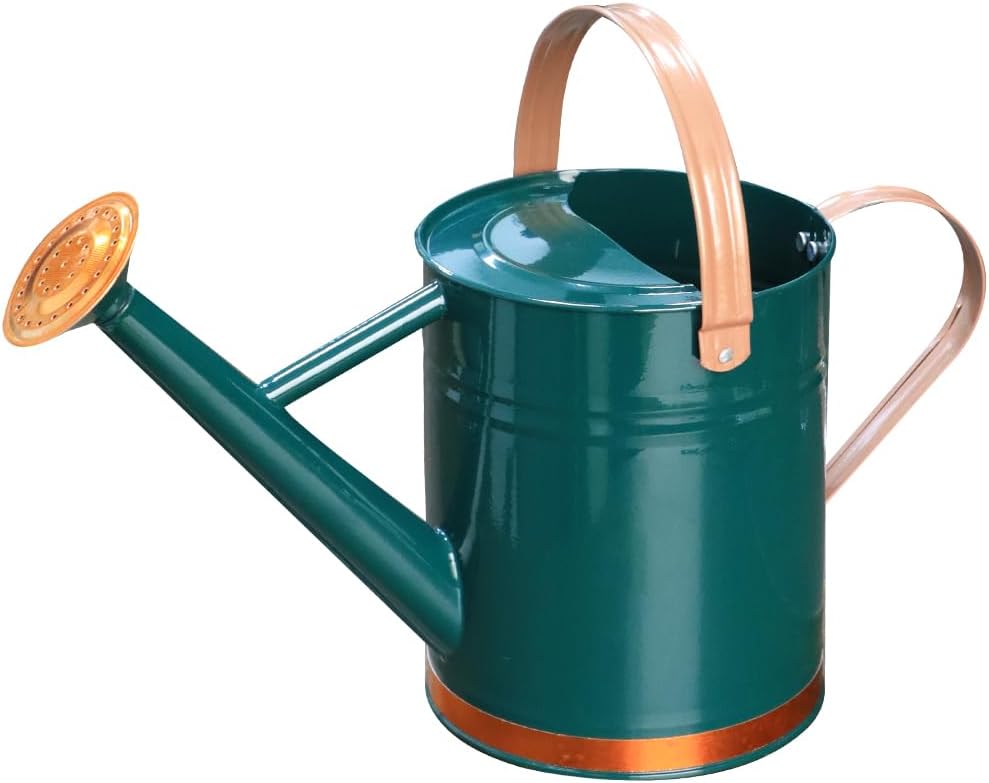 Metal Watering Can, One Gallon Watering Cans Stainless Steel for Outdoor Indoor Garden Plants Watering (One Gallon Green Decorative Strip)