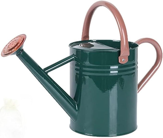 Metal Watering Can for Outdoor and Indoor Plants, Watering Can Decor, 1 Gallon (NewGreen)