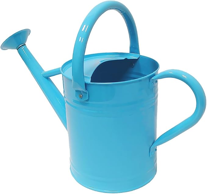 Metal Watering Can for Outdoor and Indoor Plants, Watering Can Decor, 1 Gallon (Blue)
