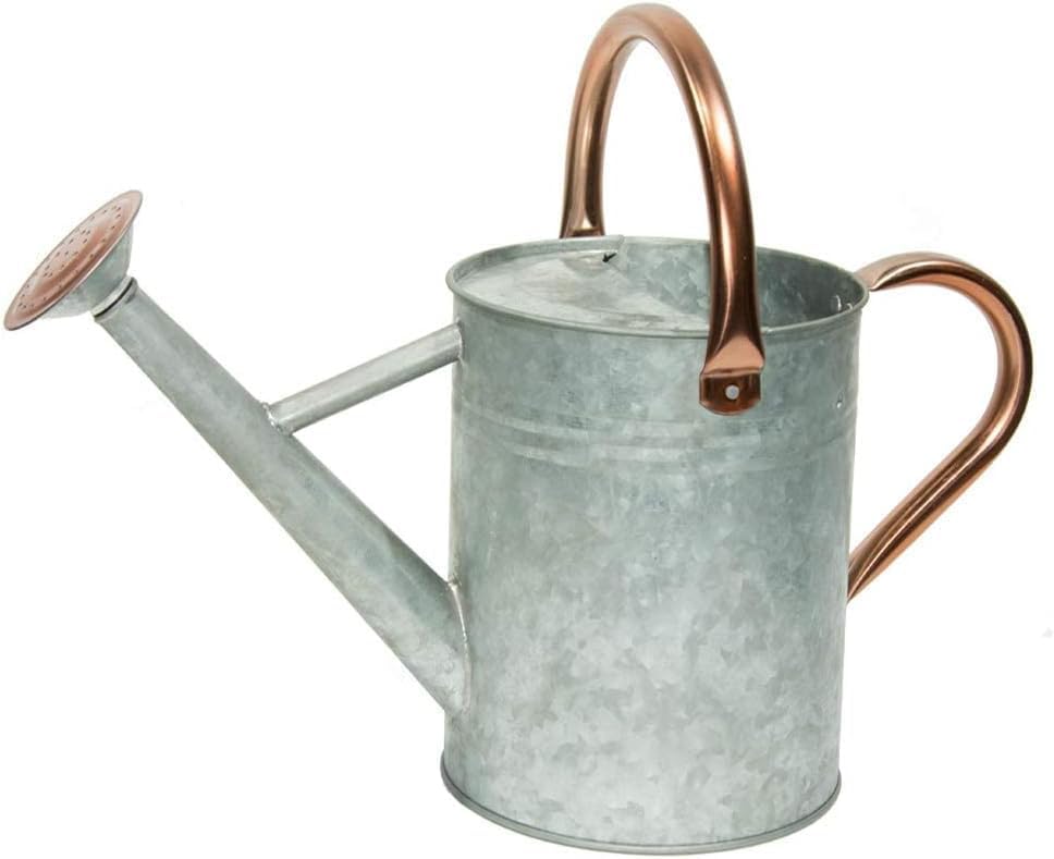 Metal Watering Can, One Gallon Watering Cans Stainless Steel for Outdoor Indoor Garden Plants Watering (Zinc 1 Gallon)