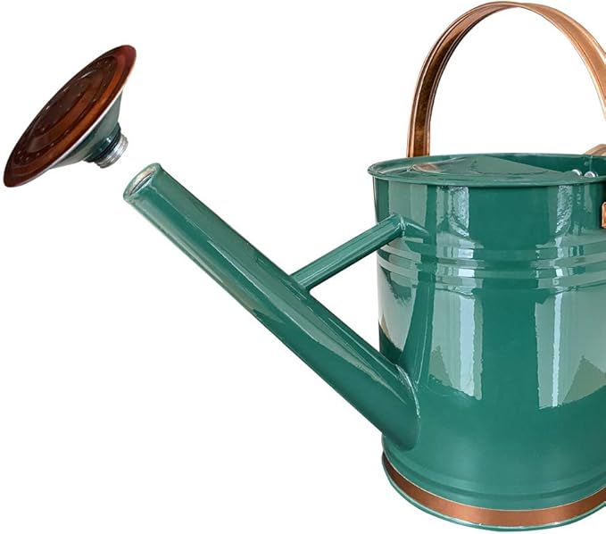 Metal Watering Can for Outdoor and Indoor Plants, Watering Can Decor, 1 Gallon (1 Gallon Green2)