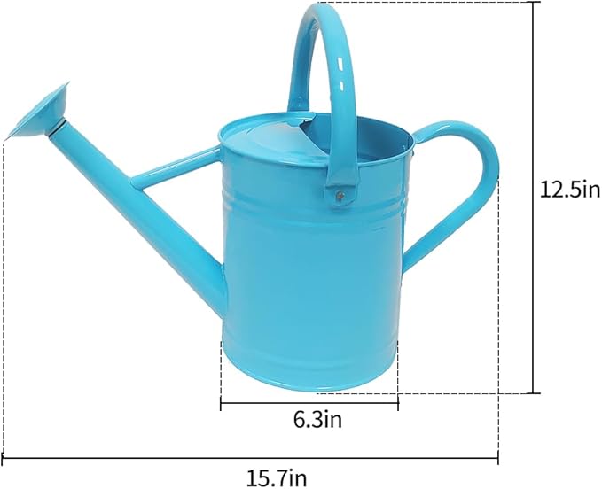 Metal Watering Can for Outdoor and Indoor Plants, Watering Can Decor, 1 Gallon (Blue)