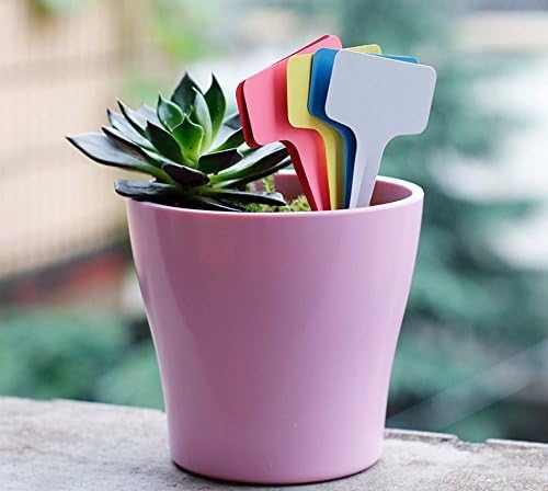 KINGLAKE Plant Labels,100 Pcs Multicolor Waterproof Plastic Plant Tags T-Type Nursery Garden Labels 6 x10cm,5 Colors