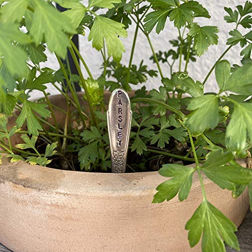 Herb Markers Set of 6 GARDEN stakes Made From Vintage Spoon Handles Oregano, Basil, Parsley, Rosemary, Thyme, Dill. Garden Markers Herb Labels