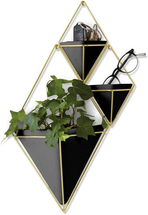 Umbra Trigg Hanging Planter Vase Wall Decor, Set of 2 Pots Containers for Succulents, Cactus, Faux Plants, and More, Small, Black/Brass