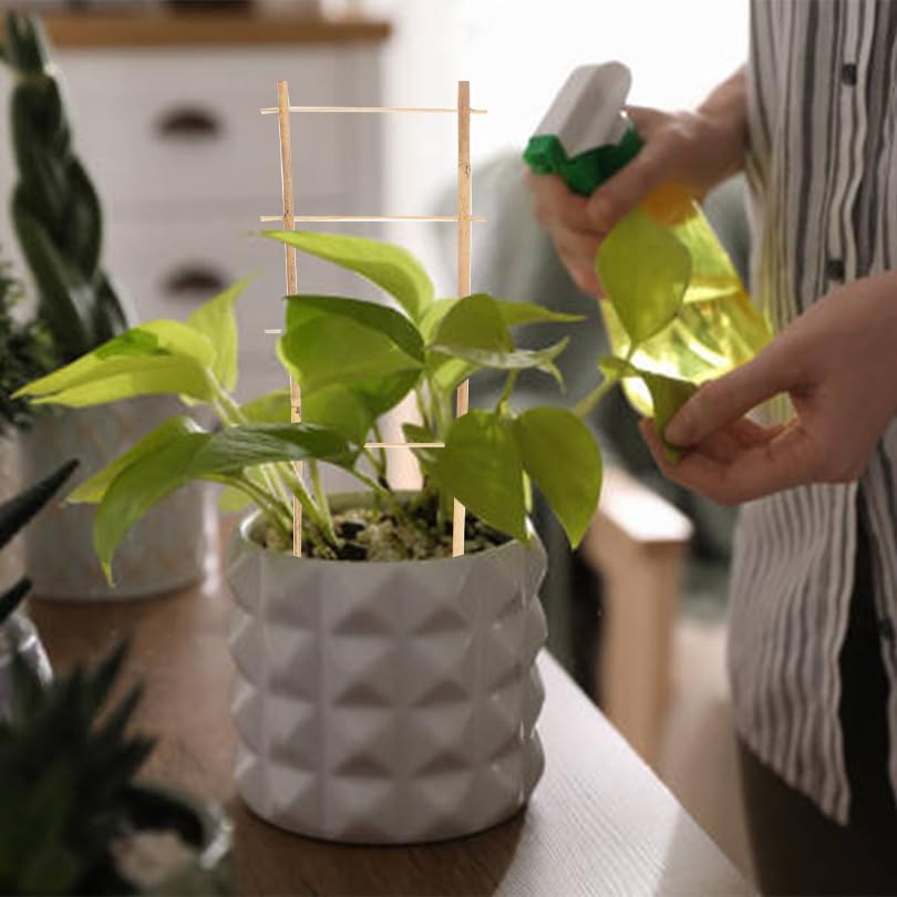 Natural Bamboo Trellis 16inch for Climbing Plants 6 Pack - Plant Ladder Trellis with Garden Ties, Outdoor Decorative Plant Support Stakes for Vines Flowers Vegetables (Ladder-Shape)