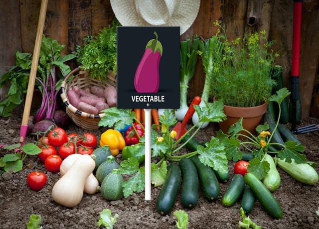 Eveokoki Aluminum Seed & Plant Labels - Plant Markes for Seedlings-Plant Tags for Pots - Garden Signs for Vegetable - Durable Markers for Plants Outdoor Waterproof - Garden Decor for Farmhouse