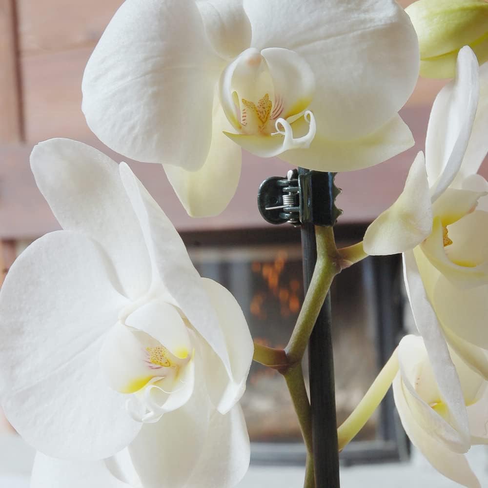 Orchid Clips, ARRITZ 100pcs Garden Plant Clips for Vines Flowers Keep Stems Vines Flowers Grow Upright