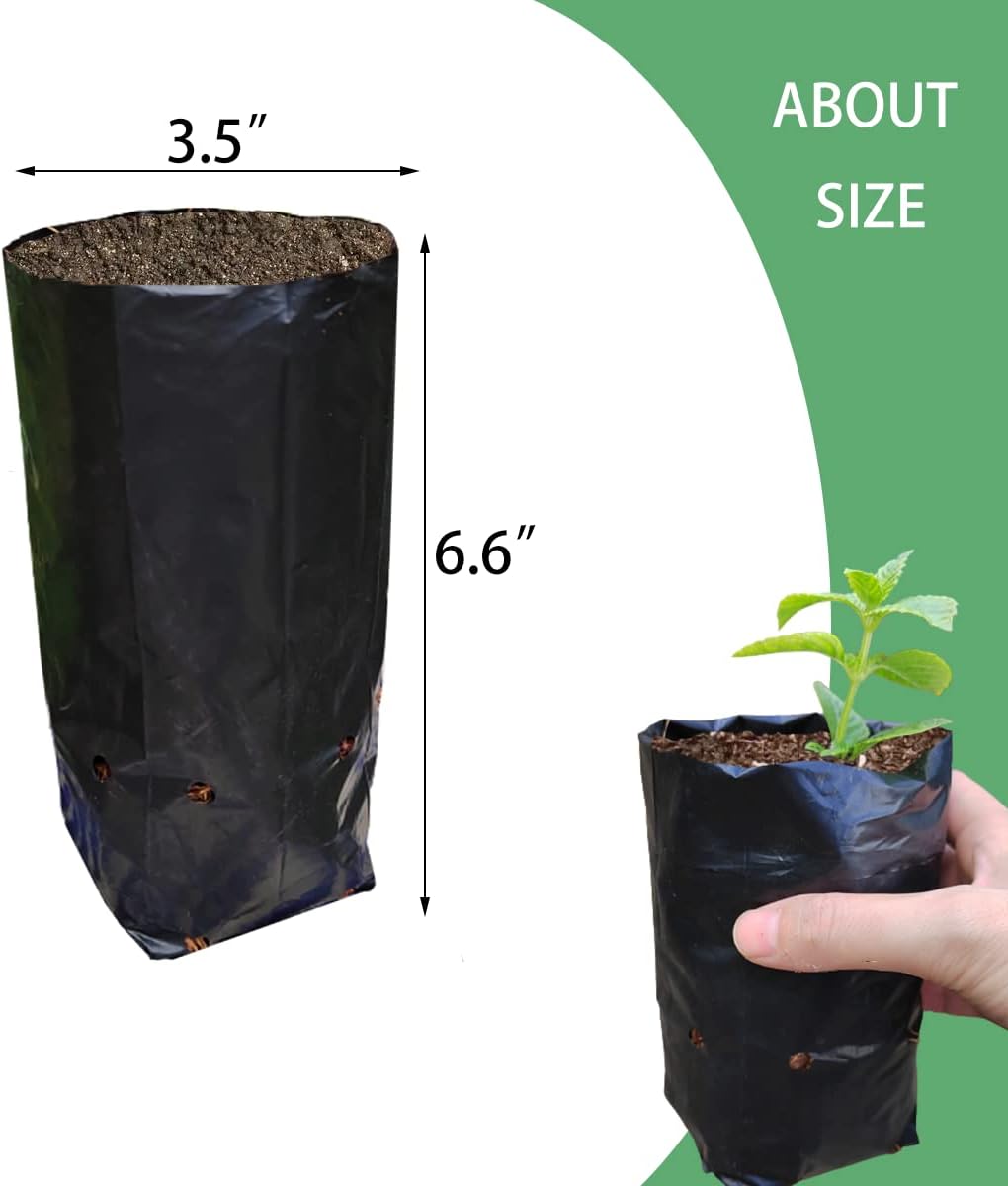 Belit 100 Pcs Plant Nursery Bags, Plastic Seedling Pots Container for Fruit Tree, Flower, Starting saplings, Plant Grow(3.5"x6.6")