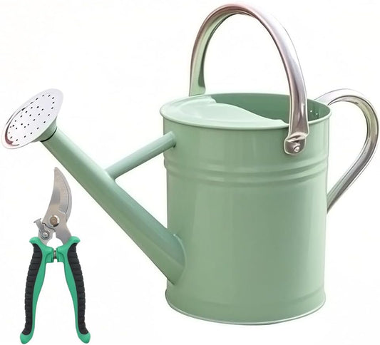 Metal Watering Can, One Gallon Watering Cans Stainless Steel for Outdoor Indoor Garden Plants Watering (Cream Green and Garden Scissors)