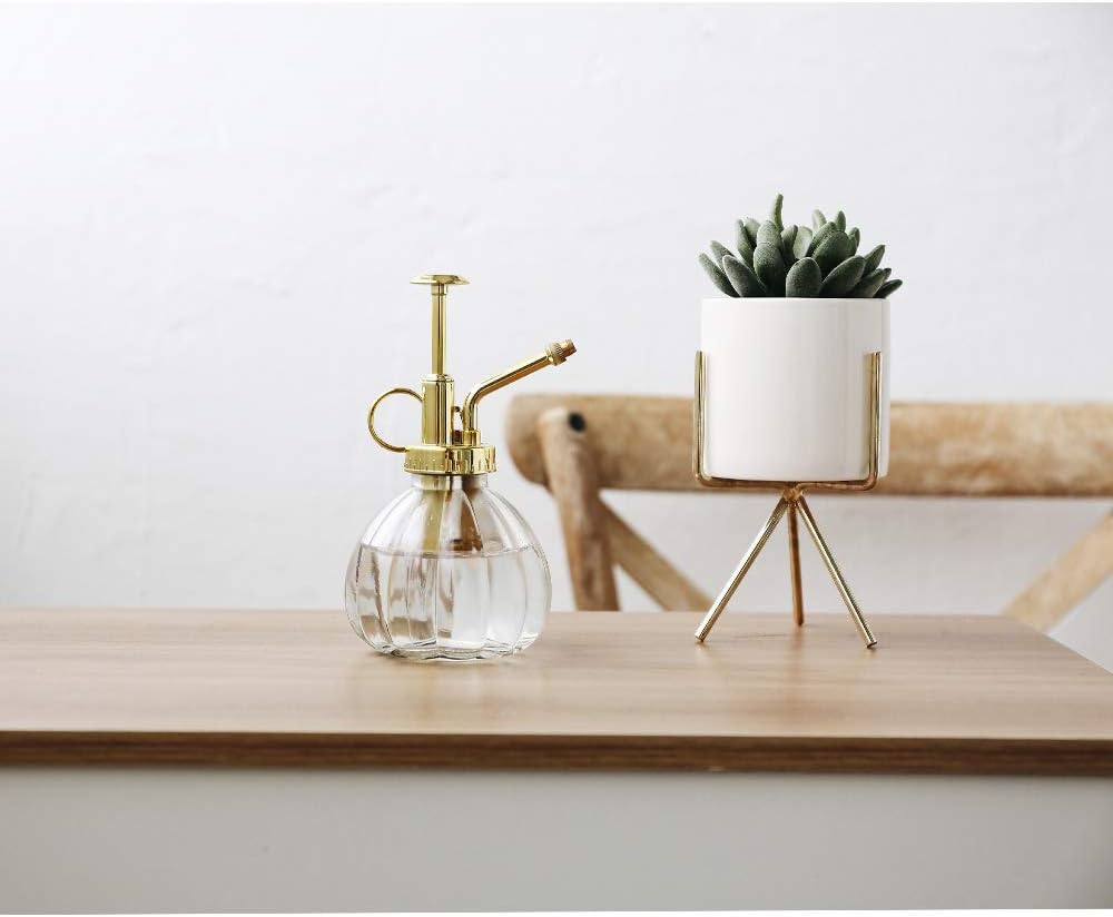 Plant Mister, 6.5" Tall Decorative Glass Water Spray Bottle with Gold Top Pump Small Watering Can by Ebristar - Clear