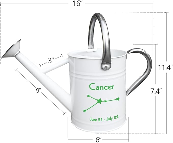Metal Watering Can for Outdoor and Indoor Plants, Watering Can Decor, 1 Gallon (Cancer)