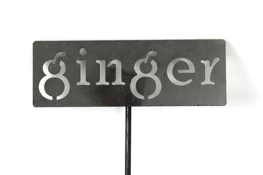 Classic Metal Garden Markers 19 Inches Tall (ginger, Raw, Unfinished Steel (will rust with time))