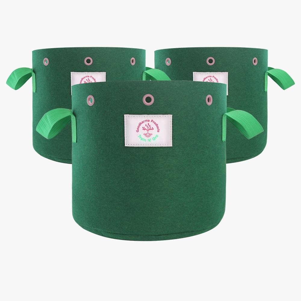 Train N' GRO - 5 Gallon Sustainable Aeration Non-Woven Grow Bags w Low Stress Training Holes - 3 Pack, for Grow Tent / Indoor / Outdoor. Superior Drainage + Breathability for Plants Vegetables + Fruit