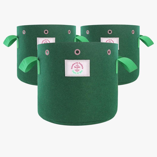 Train N' GRO - 5 Gallon Sustainable Aeration Non-Woven Grow Bags w Low Stress Training Holes - 3 Pack, for Grow Tent / Indoor / Outdoor. Superior Drainage + Breathability for Plants Vegetables + Fruit