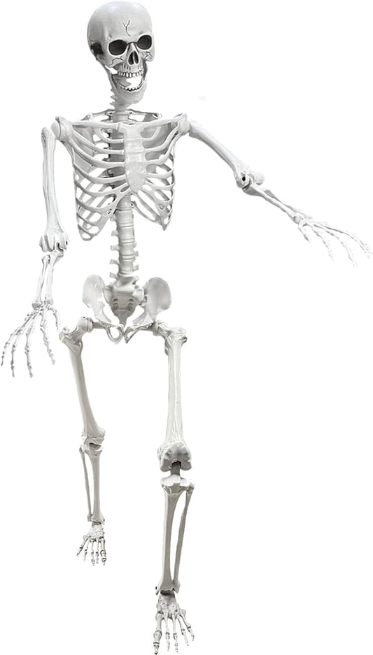Lodou 5.4Ft Posable Life Size Human Adult Skeletons Plastic Human Bones with Movable Joints for Halloween Decoration