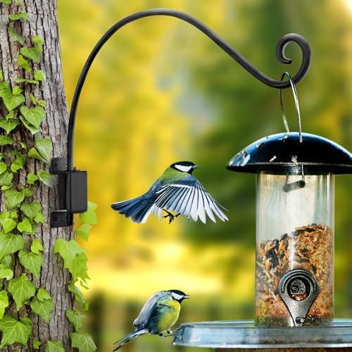 Qiang Ni Swivel Plant Hanger Bracket: Bird Feeder Hanger for Outdoor Wall Mount (22 - A, 22 Inch)