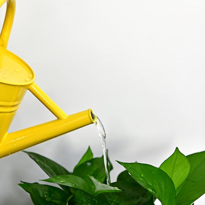 Metal Watering Can for Outdoor and Indoor Plants, Watering Can Decor, 1 Gallon (Yellow)