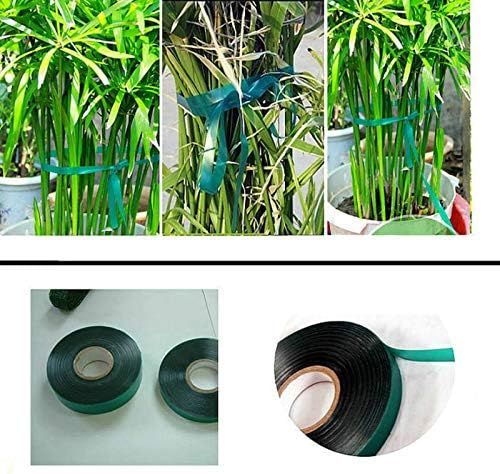 12 Rolls 150 Feet Stretch Tie Tape 0.5 Inch Garden Tie Tape Thick Plant Ribbon Garden Green Vinyl Stake for Indoor Outdoor Patio Plant Use