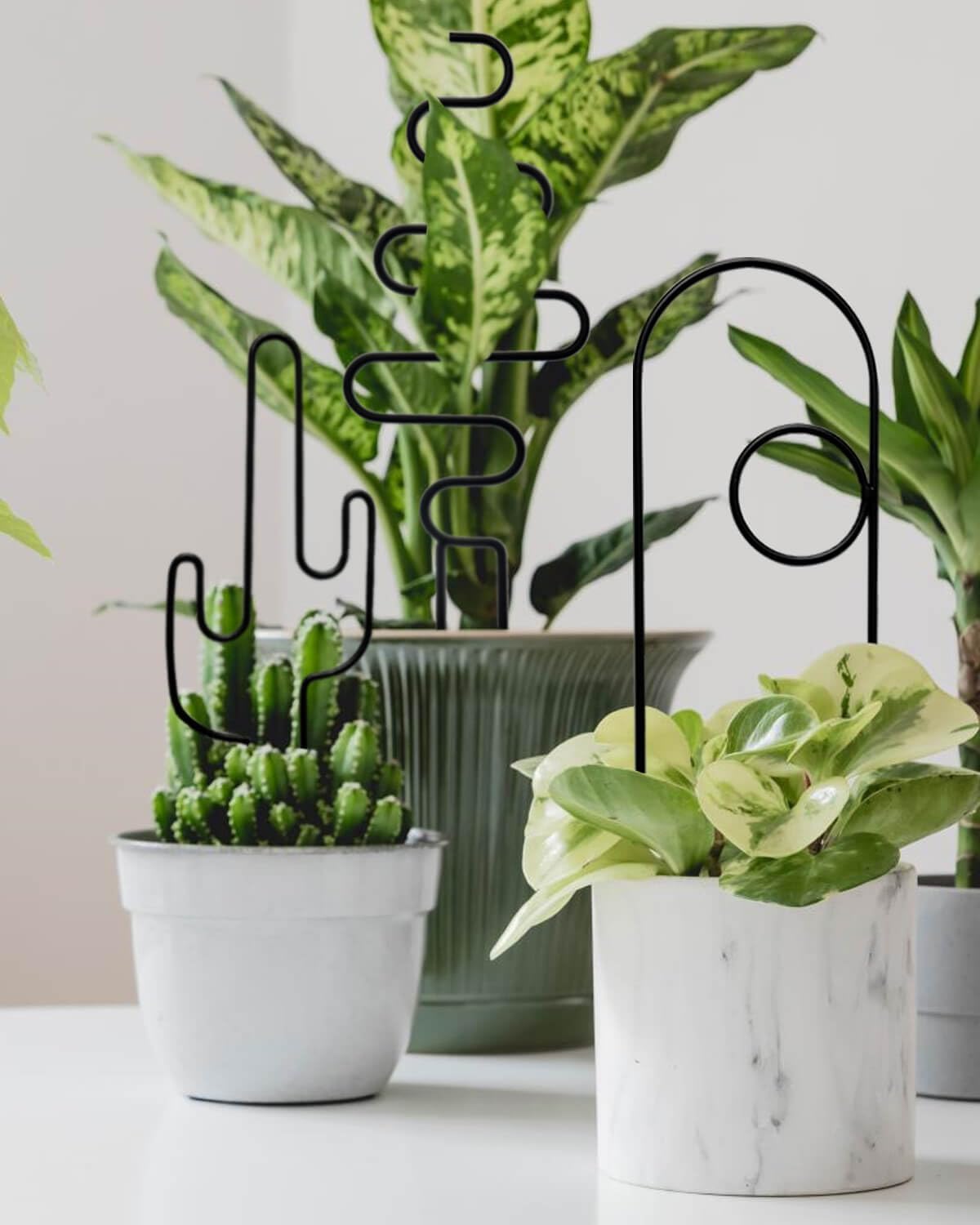 Small Plant Trellis for Climbing Plants Indoor - 13.8 Inch Trellis Indoor with Different Patterns for Vine Ivy Flower Plant Support, Metal Garden Trellis for Potted Plants, Set of 4 (Black)