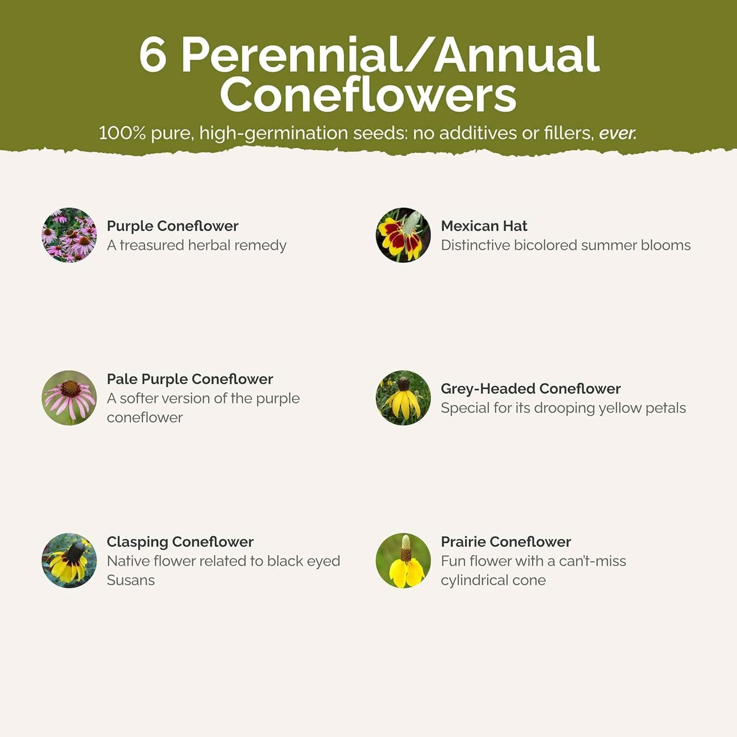 Eden Brothers Conehead Flower Mixed Seeds for Planting, 1/4 lb, 120,000+ Seeds with Prairie Coneflower, Mexican Hat | Attracts Pollinators, Plant in Spring or Fall, Zones 3, 4, 5, 6, 7, 8, 9, 10