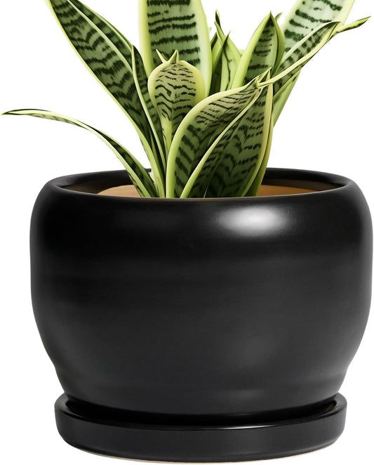 SQOWL Ceramic Plant Pot - 6 Inch Planter for Indoor Plants, Round Flower Pot with Drainage Hole and Saucer, Modern Succulent Planter Outdoor, House Decor, Plant Lovers Gifts, Black