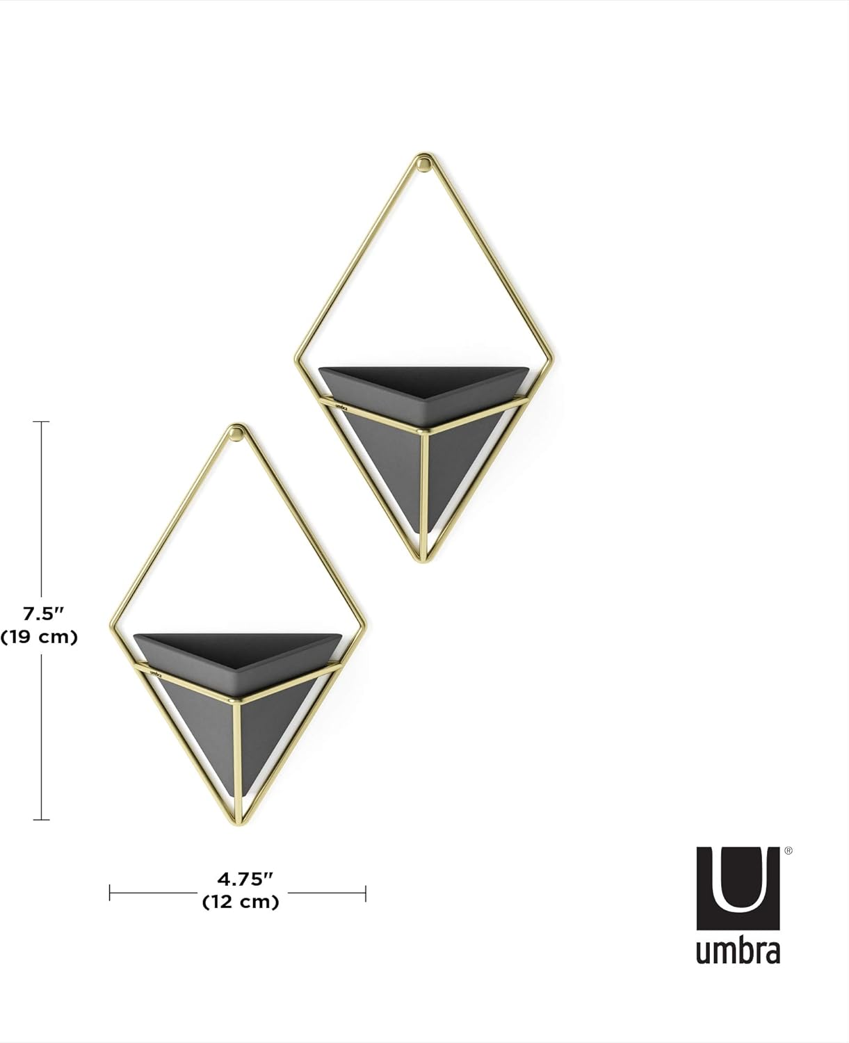Umbra Trigg Hanging Planter Vase Wall Decor, Set of 2 Pots Containers for Succulents, Cactus, Faux Plants, and More, Small, Black/Brass