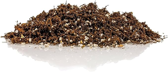 Fern + Perlite Soil Mix for Repotting and Planting Succulents and Cactuses - 3 Quart Bag