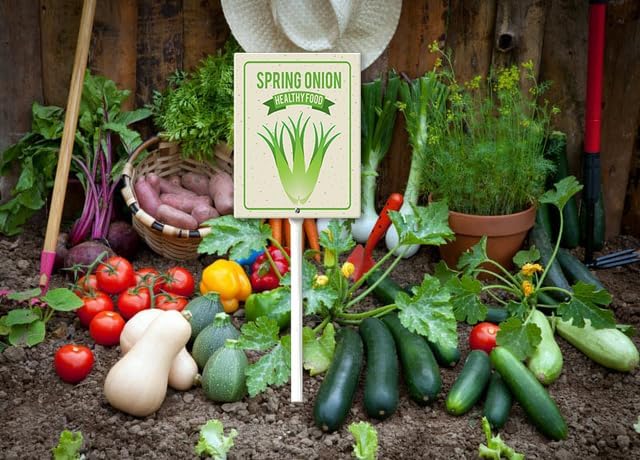 Eveokoki Aluminum Seed & Plant Labels - Plant Markes for Seedlings-Plant Tags for Pots - Garden Signs for Vegetable - Durable Markers for Plants Outdoor Waterproof - Garden Decor for Farmhouse