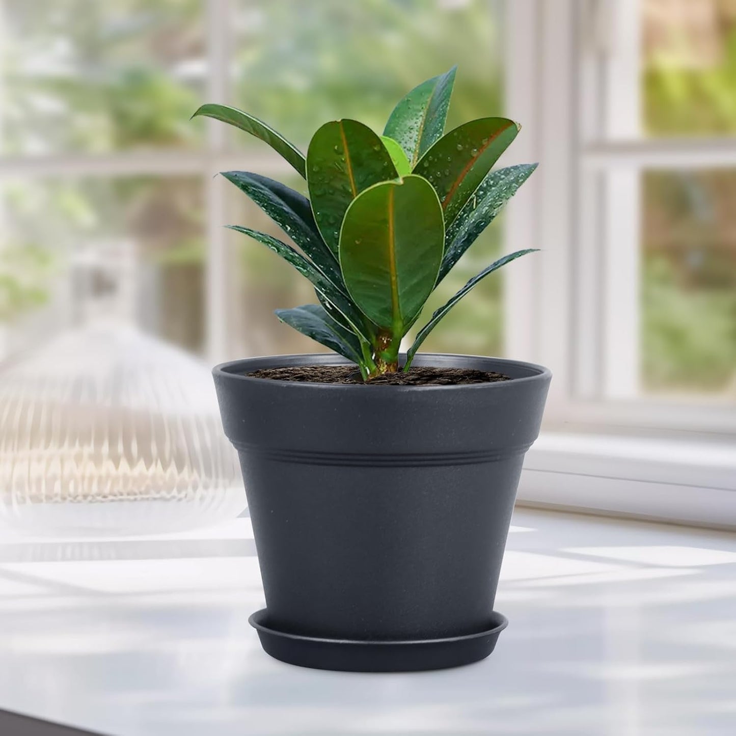 4 inch Small Plastic Nursery Pots, 16 Pack Plant Pots for Indoor Outdoor Plants, Flower Pots with Drainage Holes and Saucers, Decorative Seedling Starter Planters for House Plants, Black