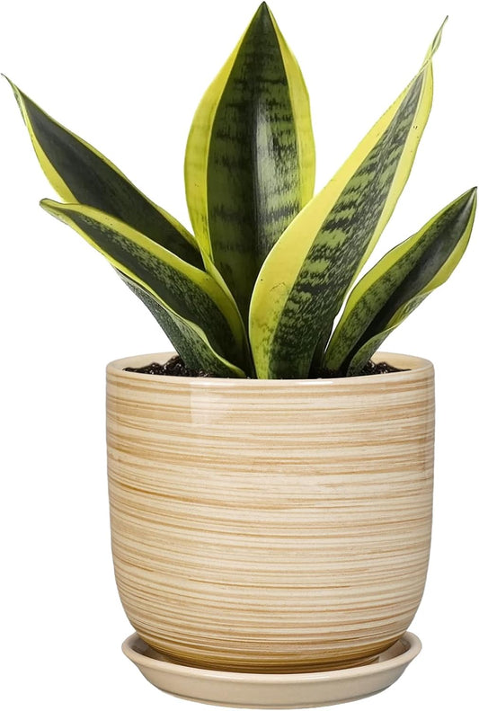 Ceramic Plant Pot 5 Inch - Modern Round Succulent Planter for Indoor Plants with Drainage Hole and Saucer, Office Home Room House Decor, Yellow