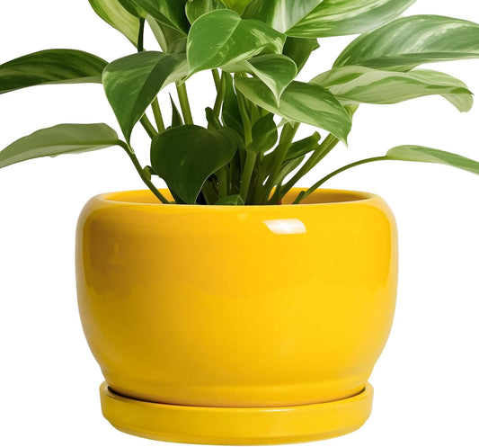 SQOWL Ceramic Plant Pot - 8 Inch Planter for Indoor Outdoor, Decorative Plant Pot with Drainage Hole and Saucer, Modern Round Planter for Flower, Desk Decor, Housewarming Gifts, Yellow
