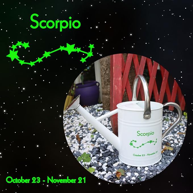 Metal Watering Can for Outdoor and Indoor Plants, Watering Can Decor, 1 Gallon (Scorpio)