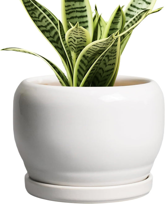 SQOWL Ceramic Flower Pots - 6 Inch Plant Pot Indoor Outdoor, Ceramic Planter with Drainage Hole and Saucer, Modern Round Succulent Planter, Bookshelf Decor, House Warming Gifts New Home, White