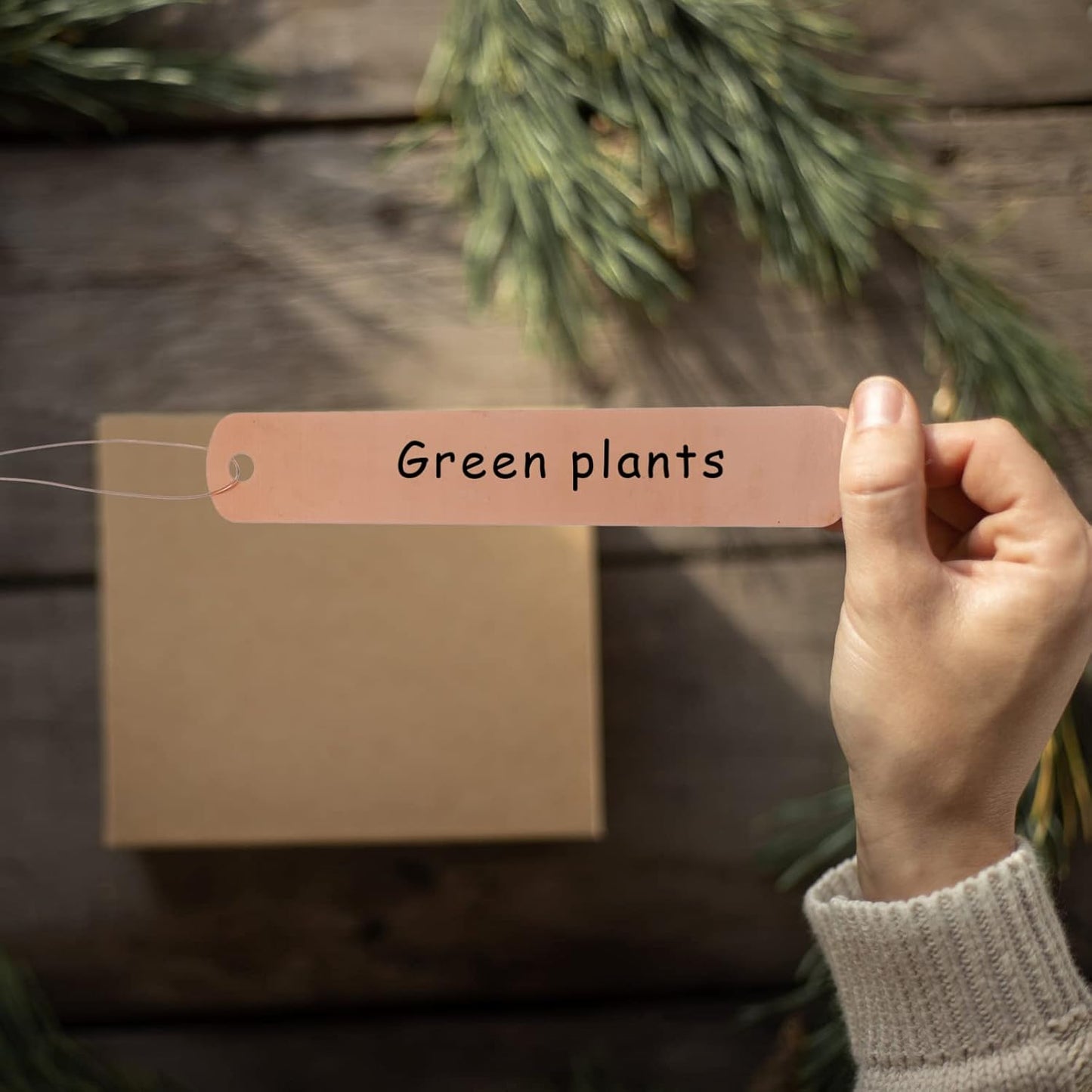 KESYOO Copper Plant Tags Reusable Garden Labels Hanging Metal Plant Tag with Wires for Flower Bed Balcony Pots Planters - 4.72 X 0.78 Inches