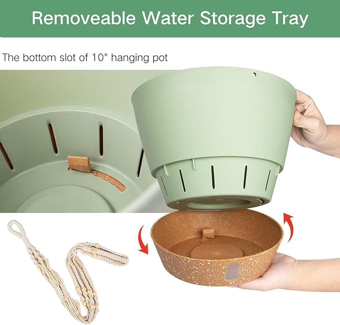 QCQHDU 2 Pack Hanging Planters for Indoor Plants, Outdoor Flower Hanging Baskets, Self Watering Pots with Drainage Holes & Removable Tray (Green, 10 inch, Macrame Hanger)