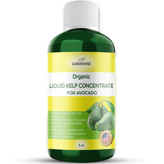 Organic Premium Kelp Seaweed Fertilizer - Liquid Plant Food - Nutrient-Rich Soil Enhancer - Improves Fruit Yield and Quality - Natural Plant Food for Avocado Tree (8 OZ)