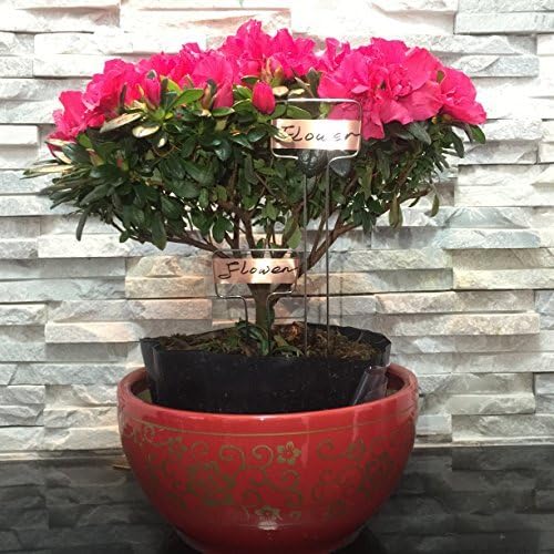 Pack of 30 Copper Plant Labels for Garden, Metal Plant Markers Nameplate, Plant Tags for Outdoor and Potted Plants (5" x 2.6")