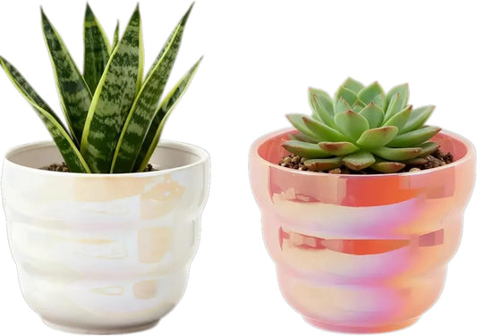 Pots for Indoor Plants, Rainbow Pearl Glaze Planters 2 Pieces with Drainage Hole, 6 Inch Round Modern Garden Pots for Flower Snakes Succulents, White and Pink