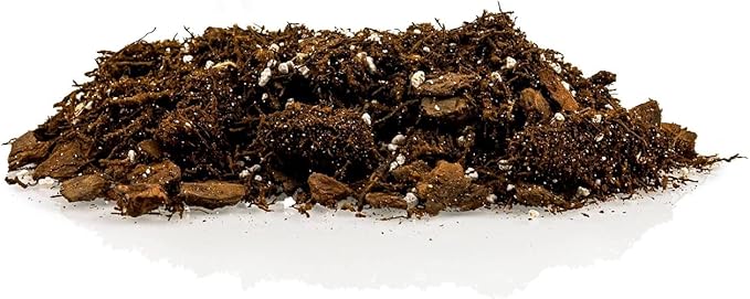 Premium Gardenera House Plant Potting Mix | Fern + New Zealand Bark + Perlite | Great for Pothos, Spider Plants, Montsera, Philodendron, English Ivy - 2 Quart Bag